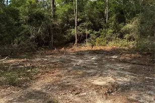 565 Sparkleberry Dr, Brookeland, TX 75931 - Photo 9