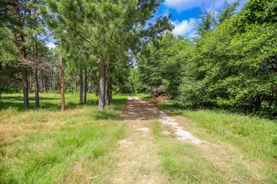 1950 Buckhorn Creek Drive, Crockett, TX 75835 - Photo 7