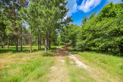 1950 Buckhorn Creek Drive, Crockett, TX 75835 - Photo 5