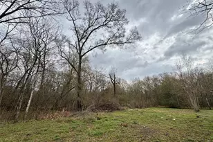 10 Neuman St, Coldspring, TX 77331 - Photo 1