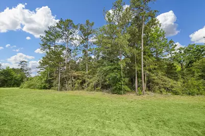 8608 Trinity Pines Court, Montgomery, TX 77316 - Photo 3