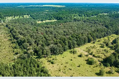 2210 County Road 3011, Dayton, TX 77535 - Photo 7
