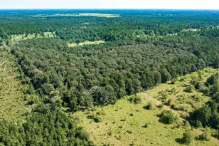 2210 County Rd 3011, Dayton, TX 77535 - Photo 7