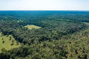 2210 County Rd 3011, Dayton, TX 77535 - Photo 5