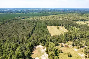2210 County Rd 3011, Dayton, TX 77535 - Photo 13