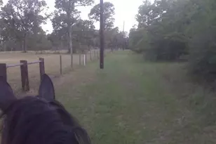 36003 Post Oak Cir, Magnolia, TX 77355 - Photo 37