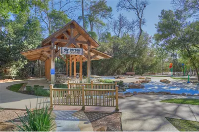 335 Great Hills Drive, Montgomery, TX 77316 - Photo 47