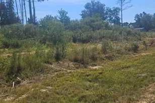 2055 Road 5913, Cleveland, TX 77327 - Photo 3