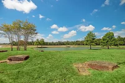 2418 Emerie Arbor Lane, Hockley, TX 77447 - Photo 49