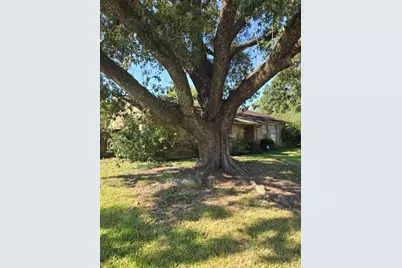 5811 Ludington Drive, Houston, TX 77035 - Photo 7