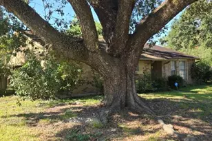 5811 Ludington Dr, Houston, TX 77035 - Photo 7