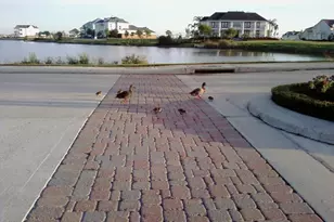 3 Mariner Pass, Galveston, TX 77554 - Photo 31