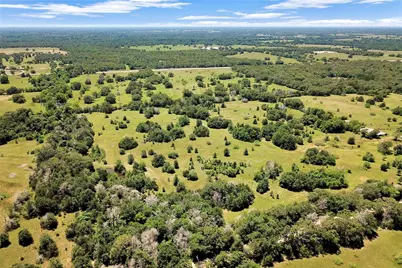 7629 Oxford Cemetery Road, Madisonville, TX 77864 - Photo 3