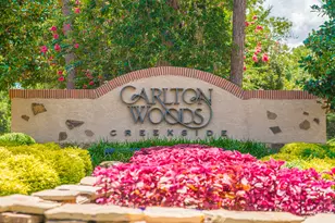 123 Mediterra Way, Spring, TX 77389 - Photo 17