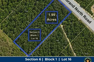 11700 Grand N Rd, Willis, TX 77378 - Photo 1