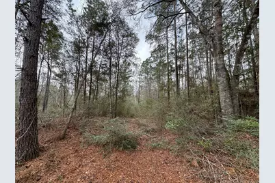 11700 Grand North Road, Willis, TX 77378 - Photo 5