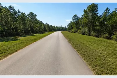 11700 Grand North Road, Willis, TX 77378 - Photo 3