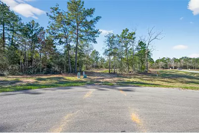 7629 Trinity Pines Drive, Montgomery, TX 77316 - Photo 13