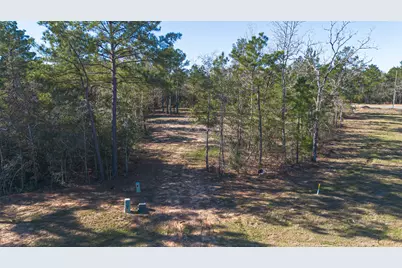 7629 Trinity Pines Drive, Montgomery, TX 77316 - Photo 3