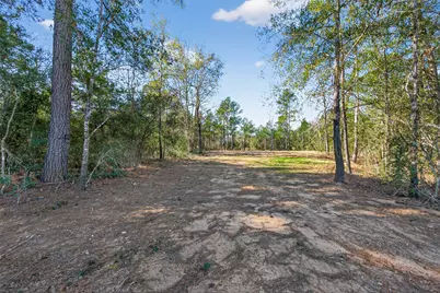 7629 Trinity Pines Drive, Montgomery, TX 77316 - Photo 5