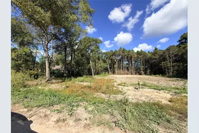 11249 Wildwood Lane, Plantersville, TX 77363 - Photo 3