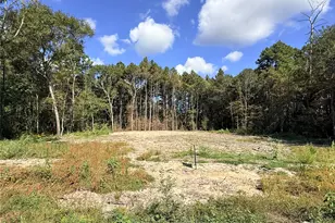 11249 Wildwood Ln, Plantersville, TX 77363 - Photo 1