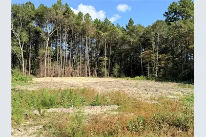 11249 Wildwood Lane, Plantersville, TX 77363 - Photo 9