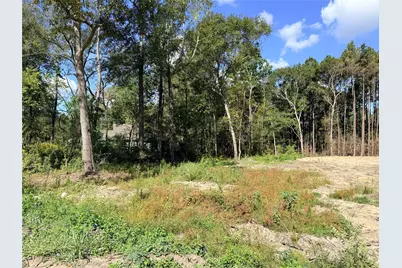 11249 Wildwood Lane, Plantersville, TX 77363 - Photo 5