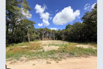 11249 Wildwood Lane, Plantersville, TX 77363 - Photo 13