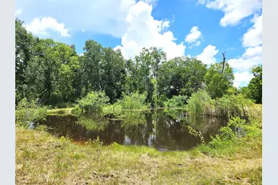 5015 Ghinaudo Road, Hitchcock, TX 77563 - Photo 9