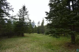 15554 Hwy 1, Cook, MN 55723 - Photo 13