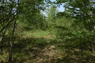 625X Iron Lake Rd, Iron River, WI 54847 - Photo 7