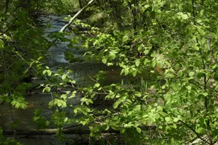 625X Iron Lake Rd, Iron River, WI 54847 - Photo 3