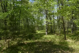 625X Iron Lake Rd, Iron River, WI 54847 - Photo 5