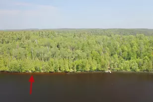 5773 Lake Vermilion N, Tower, MN 55790 - Photo 1