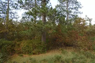 1765 E Wilderness Ct, Barnes, WI 54873 - Photo 5