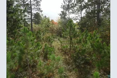 1765 E Wilderness Ct, Barnes, WI 54873 - Photo 1