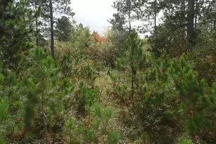 1765 E Wilderness Ct, Barnes, WI 54873 - Photo 1