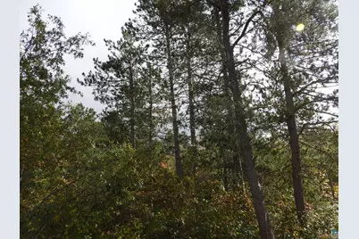 1765 E Wilderness Ct, Barnes, WI 54873 - Photo 9