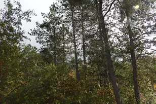 1765 E Wilderness Ct, Barnes, WI 54873 - Photo 9