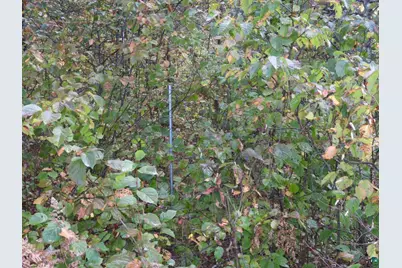 1765 E Wilderness Ct, Barnes, WI 54873 - Photo 7
