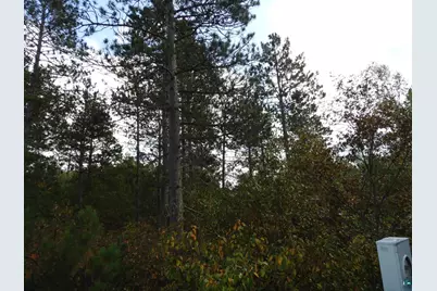 1765 E Wilderness Ct, Barnes, WI 54873 - Photo 3