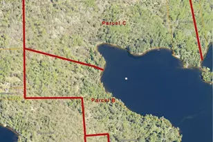 Lots 3 & 4 Wakemup Narrows N, Cook, MN 55731 - Photo 39