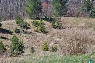 Xx Trinity Rd, Duluth, MN 55811 - Photo 1