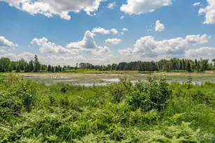 296 Shady Ln, Ely, MN 55731 - Photo 23