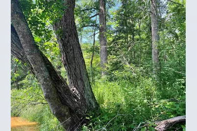 Xxx Chippewa Tr, Exeland, WI 54867 - Photo 1