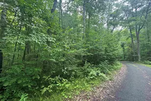 Lot 17 & 18 Sleepy Fawn Ln, Delta, WI 54847 - Photo 3