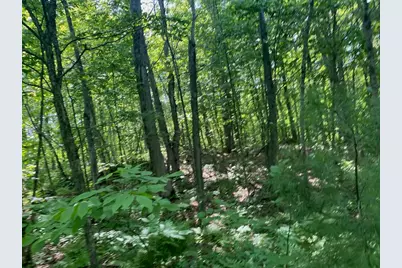 Lot 7 Secluded Trail, Hayward, WI 54843 - Photo 33