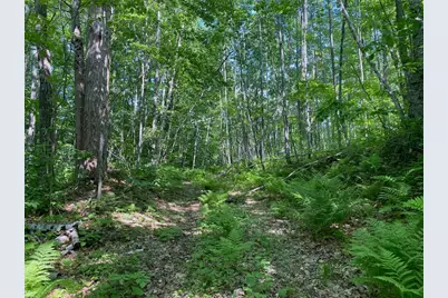 Lot 7 Secluded Trail, Hayward, WI 54843 - Photo 9