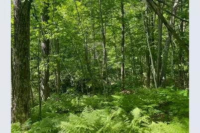 Lot 7 Secluded Trail, Hayward, WI 54843 - Photo 17